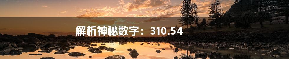 解析神秘数字:310.54
