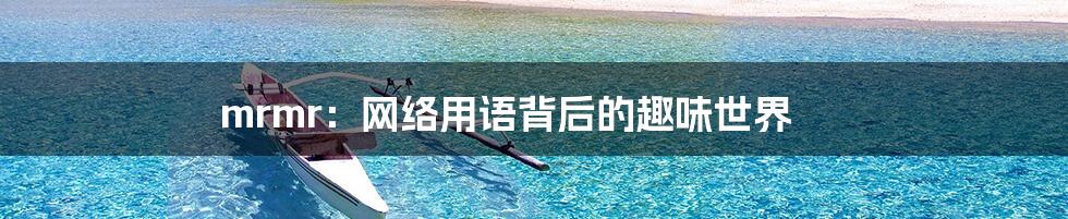 mrmr：网络用语背后的趣味世界