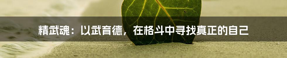 精武魂：以武育德，在格斗中寻找真正的自己