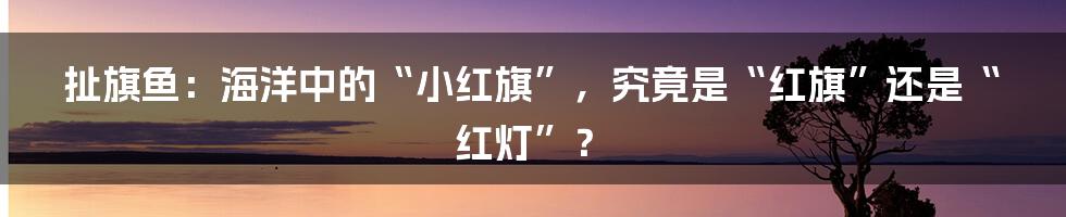 扯旗鱼：海洋中的“小红旗”，究竟是“红旗”还是“红灯”？