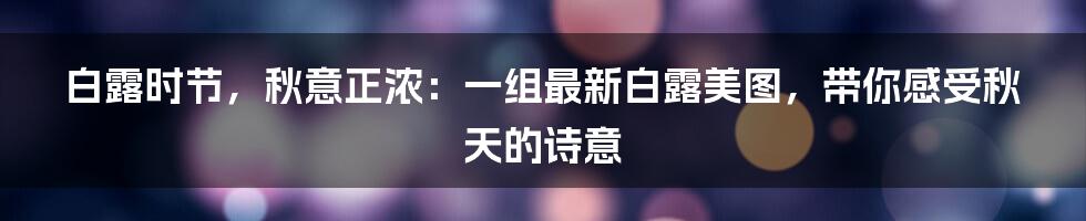 白露时节，秋意正浓：一组最新白露美图，带你感受秋天的诗意