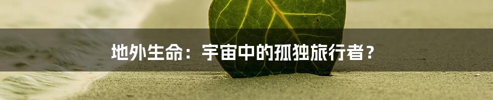 地外生命:宇宙中的孤独旅行者?