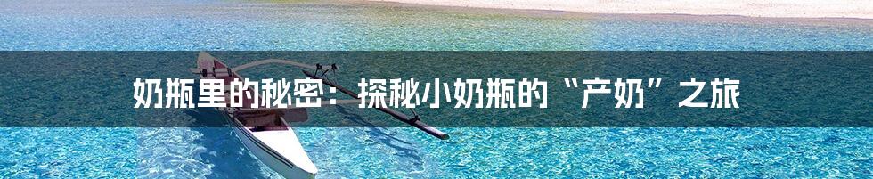 奶瓶里的秘密：探秘小奶瓶的“产奶”之旅