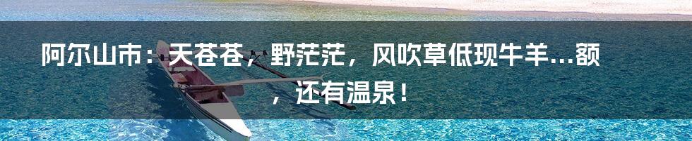 阿尔山市：天苍苍，野茫茫，风吹草低现牛羊...额，还有温泉！