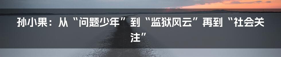 孙小果:从“问题少年”到“监狱风云”再到“社会关注”