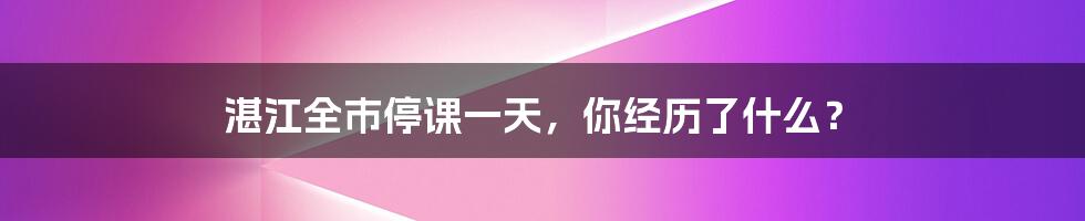 湛江全市停课一天,你经历了什么?