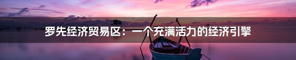 罗先经济贸易区：一个充满活力的经济引擎