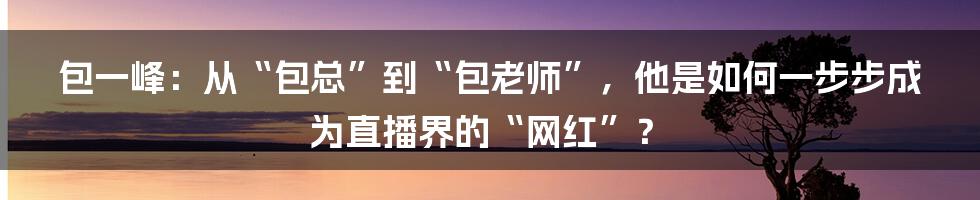 包一峰:从“包总”到“包老师”,他是如何一步步成为直播界的“网红”?