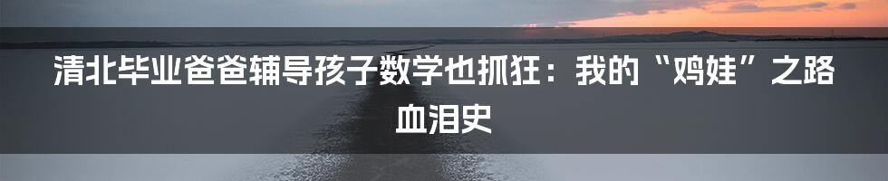 清北毕业爸爸辅导孩子数学也抓狂:我的“鸡娃”之路血泪史