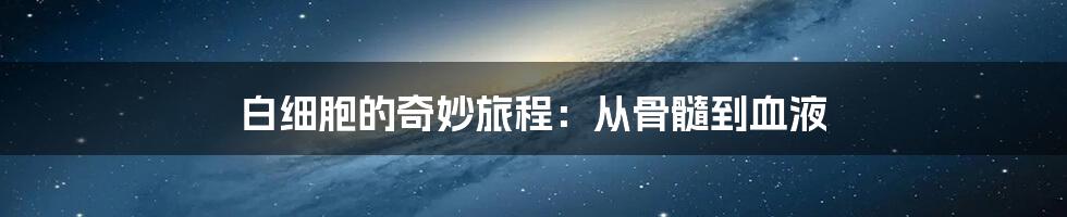 白细胞的奇妙旅程：从骨髓到血液