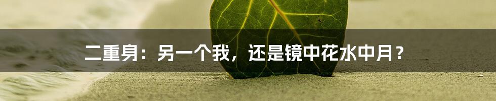 二重身：另一个我，还是镜中花水中月？