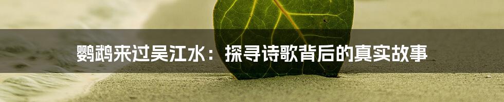 鹦鹉来过吴江水:探寻诗歌背后的真实故事