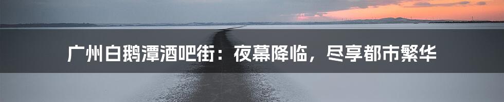 广州白鹅潭酒吧街:夜幕降临,尽享都市繁华