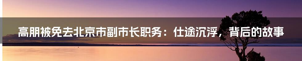高朋被免去北京市副市长职务:仕途沉浮,背后的故事