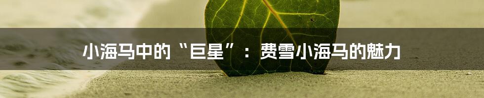 小海马中的“巨星”:费雪小海马的魅力
