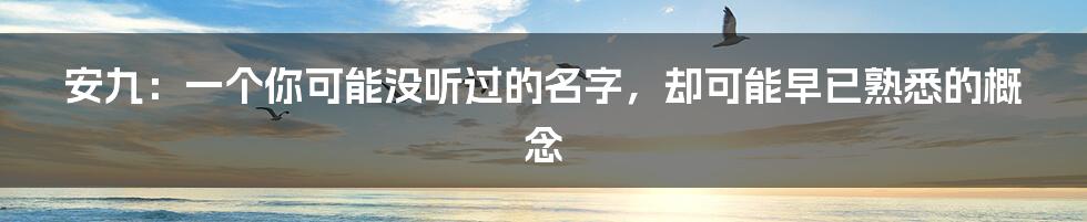 安九:一个你可能没听过的名字,却可能早已熟悉的概念