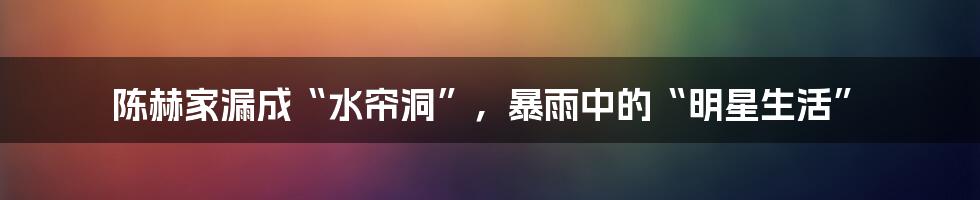 陈赫家漏成“水帘洞”,暴雨中的“明星生活”