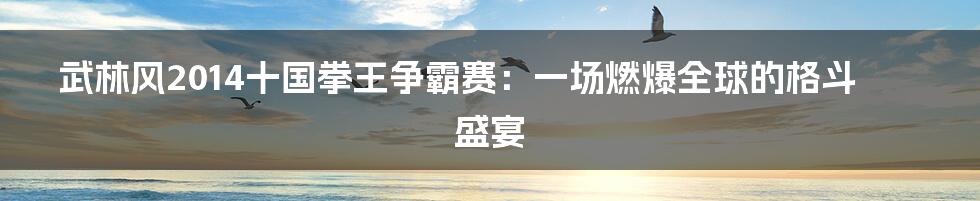 武林风2014十国拳王争霸赛:一场燃爆全球的格斗盛宴