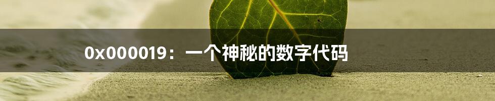 0x000019:一个神秘的数字代码