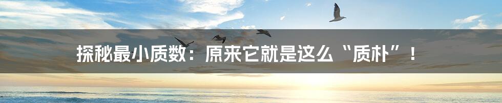 探秘最小质数:原来它就是这么“质朴”!