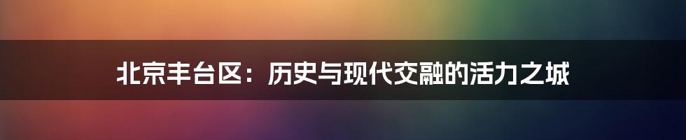 北京丰台区：历史与现代交融的活力之城
