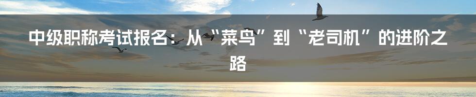 中级职称考试报名:从“菜鸟”到“老司机”的进阶之路