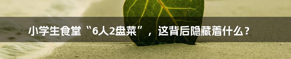 小学生食堂“6人2盘菜”,这背后隐藏着什么?