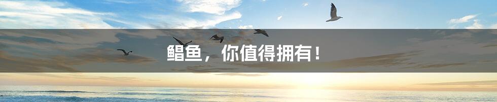 鲳鱼,你值得拥有!
