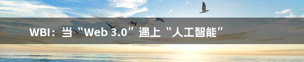 WBI:当“Web 3.0”遇上“人工智能”