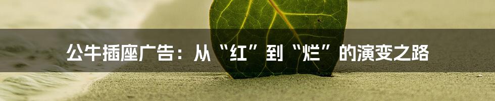 公牛插座广告:从“红”到“烂”的演变之路