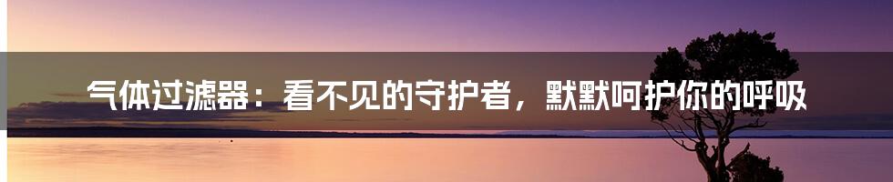 气体过滤器:看不见的守护者,默默呵护你的呼吸