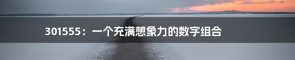 301555：一个充满想象力的数字组合