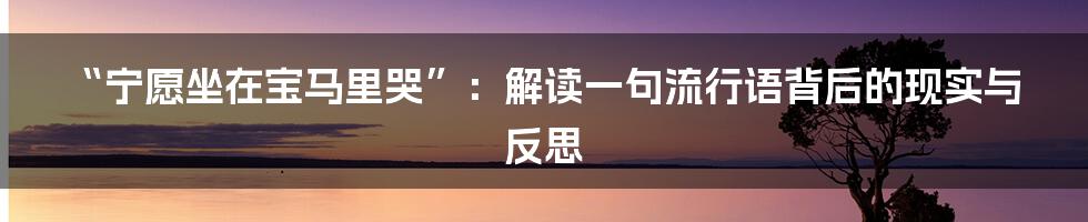 “宁愿坐在宝马里哭”：解读一句流行语背后的现实与反思