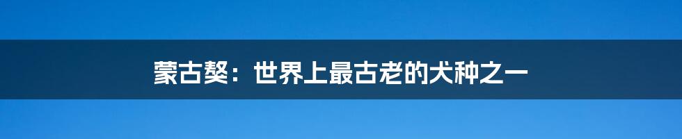 蒙古獒:世界上最古老的犬种之一