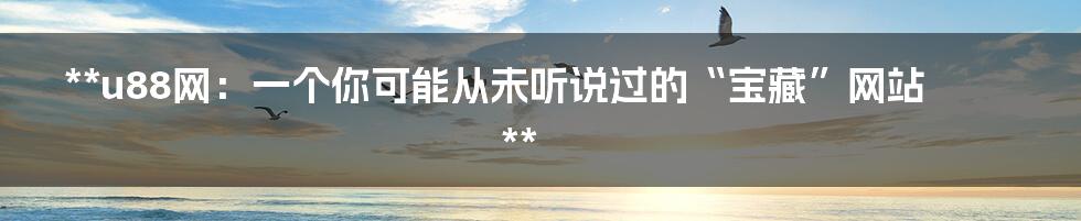 **u88网:一个你可能从未听说过的“宝藏”网站**