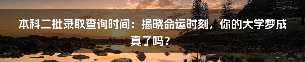 本科二批录取查询时间:揭晓命运时刻,你的大学梦成真了吗?