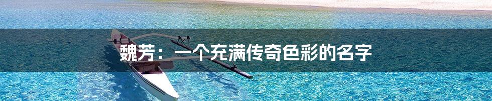 魏芳：一个充满传奇色彩的名字