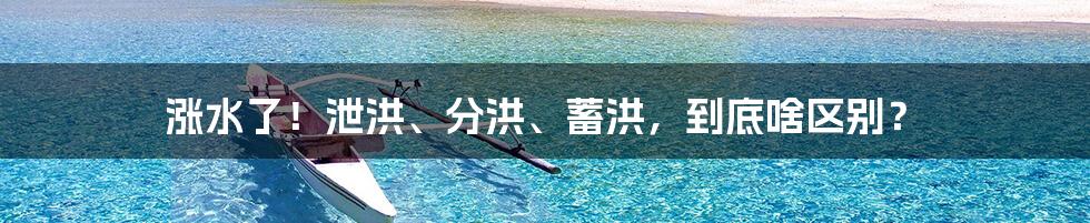 涨水了！泄洪、分洪、蓄洪，到底啥区别？