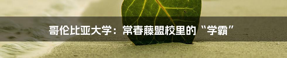 哥伦比亚大学:常春藤盟校里的“学霸”