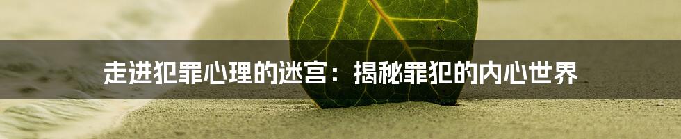 走进犯罪心理的迷宫:揭秘罪犯的内心世界