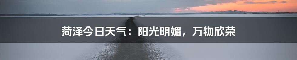 菏泽今日天气:阳光明媚,万物欣荣