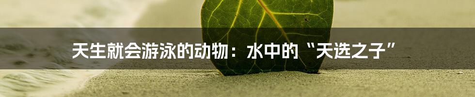 天生就会游泳的动物：水中的“天选之子”