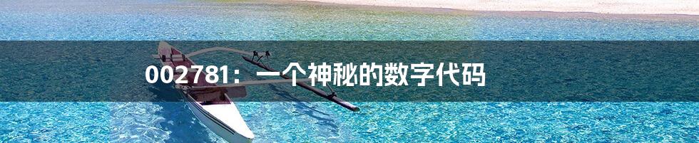002781:一个神秘的数字代码