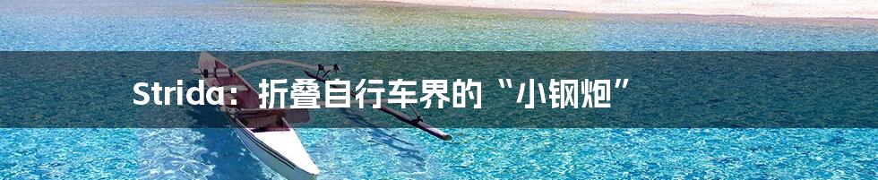 Strida:折叠自行车界的“小钢炮”