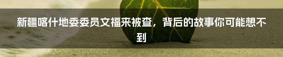 新疆喀什地委委员文福来被查,背后的故事你可能想不到