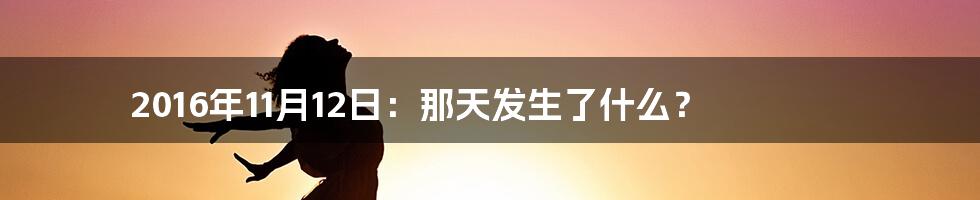 2016年11月12日:那天发生了什么?