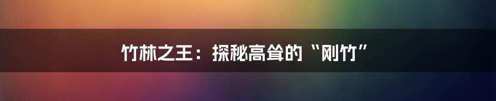 竹林之王：探秘高耸的“刚竹”