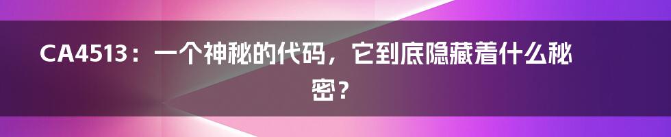 CA4513：一个神秘的代码，它到底隐藏着什么秘密？