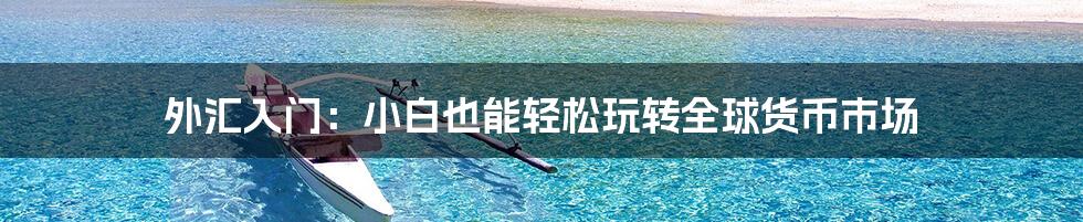 外汇入门:小白也能轻松玩转全球货币市场