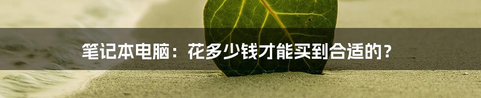 笔记本电脑：花多少钱才能买到合适的？